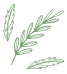 Shape Thumb