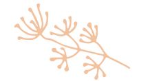 Shape Thumb